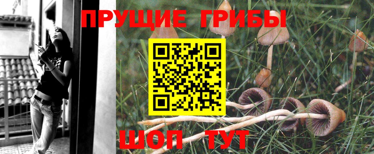 Псилоцибиновые грибы MAGIC MUSHROOMS Джанкой