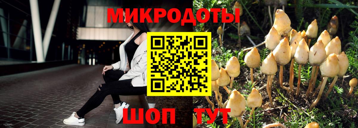 Джанкой  Галлюциногенные грибы мухоморы  Вход с VPN  где купить наркоту  Псилоцибиновые грибы Psilocybe 
